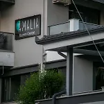 Amalia Center *
