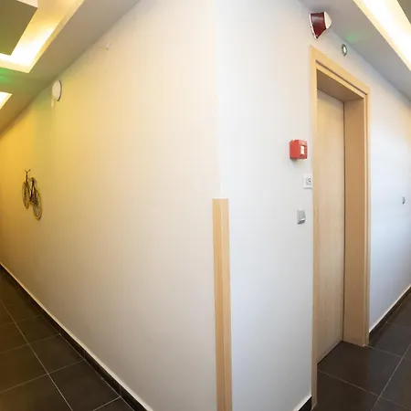 Amalia Center